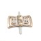 Factory Wholesale Shoe Buckle Plastic Material Buckle Shoe Accessories