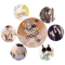 Metal Underwear Adjustment Buckle Strap Hook,Bra Buckle Bikini Swimwear Buckle