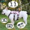 Custom Strap Belt Loop Dog Collar Leads Clasp Hardware 1inch Aluminum Metal D Ring Buckle Gold 3/4&quot; Side Release Buckle Hook