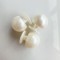 Durable Integrated Metal Buckle Shoe Bag Accessories Abs Materials With Durable Bean Integrated Buckle Bag Hole Pearl Shoe Charm