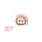 High Quality Luxury Zinc Alloy Metal Shoe Hooks Factory Wholesale Best-selling Customizable Sandal Buckles Double Pin