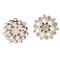 Women's Fashion Metal Shoe Buckle With Crystal Rhinestone And Pearl Elegant Accessory